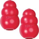 kong 22