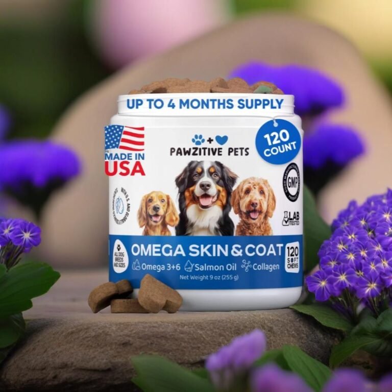 Top 3 Dog Health Supplements on Amazon for Happier, Healthier Pups